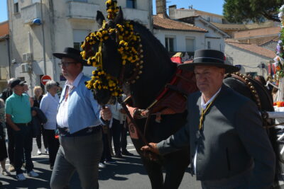 Agrandir l'image 16 sur 18, fenêtre modale