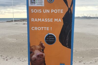 Agrandir l'image 2 sur 2, fenêtre modale