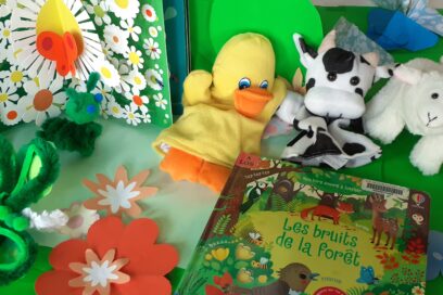 Agrandir l'image, fenêtre modale