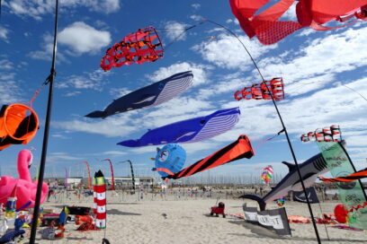 Agrandir l'image, fenêtre modale