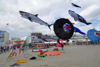 Agrandir l'image 1 sur 3, fenêtre modale