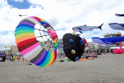 Agrandir l'image 2 sur 3, fenêtre modale