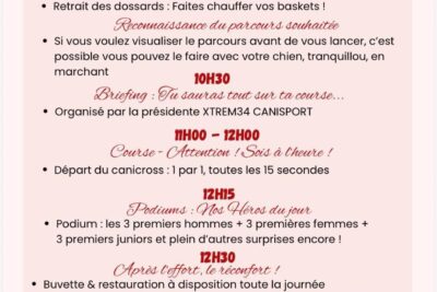 Agrandir l'image 1 sur 2, fenêtre modale