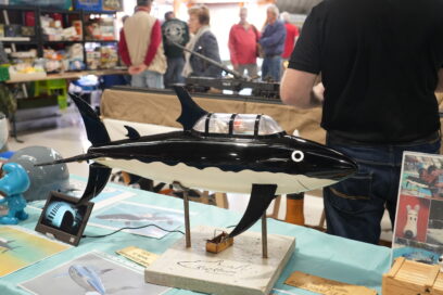 Agrandir l'image, fenêtre modale