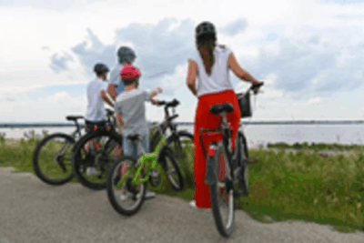 Agrandir l'image 1 sur 2, fenêtre modale