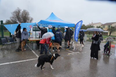 Agrandir l'image 2 sur 4, fenêtre modale