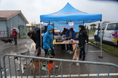 Agrandir l'image 4 sur 4, fenêtre modale