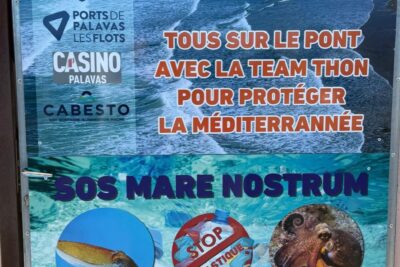 Agrandir l'image 3 sur 4, fenêtre modale