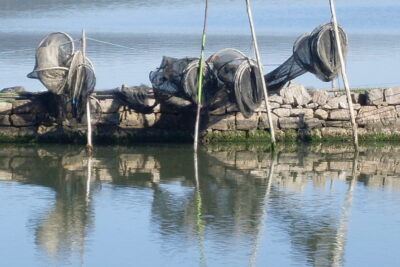 Agrandir l'image 2 sur 5, fenêtre modale