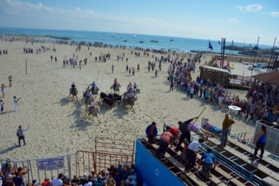 Abrivado de la plage, Feria d'automne - Agrandir l'image 1 sur 10, fenêtre modale