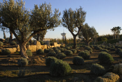 Le parc du levant, le poumon vert de la ville - Agrandir l'image 6 sur 10, fenêtre modale