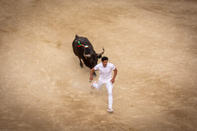 Course Camarguaise - Agrandir l'image 7 sur 15, fenêtre modale