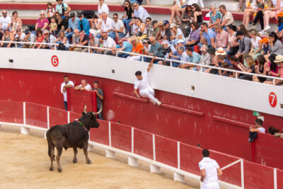 Course Camarguaise - Agrandir l'image 8 sur 15, fenêtre modale