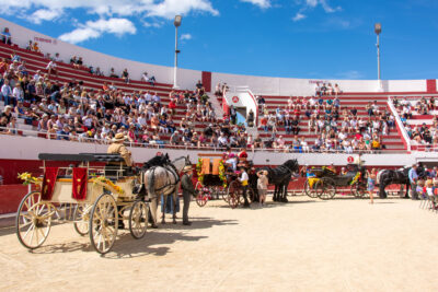 Défilé du Rocio - Agrandir l'image 10 sur 15, fenêtre modale