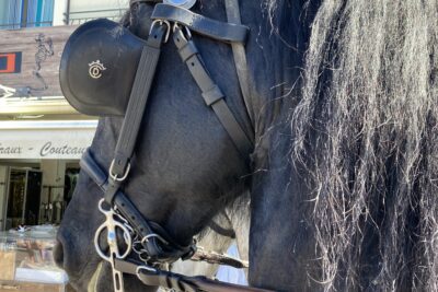 Défilé du Rocio - Agrandir l'image 2 sur 15, fenêtre modale