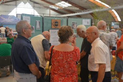 Agrandir l'image 47 sur 81, fenêtre modale