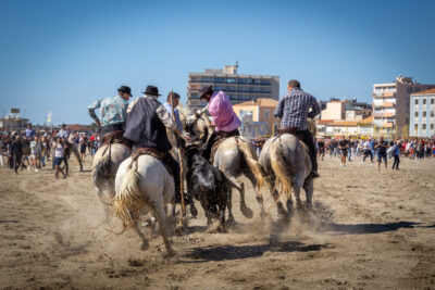 Agrandir l'image 3 sur 8, fenêtre modale