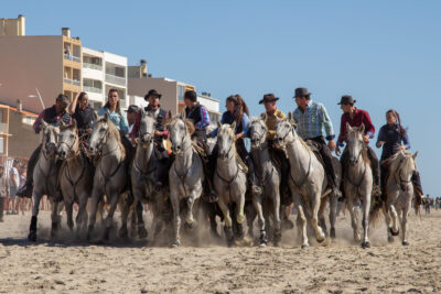 Agrandir l'image 5 sur 8, fenêtre modale