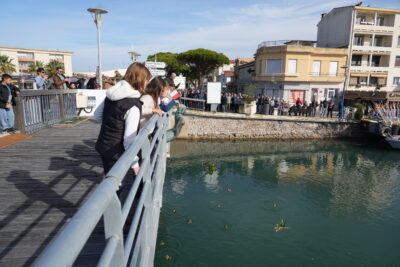 Agrandir l'image 29 sur 39, fenêtre modale