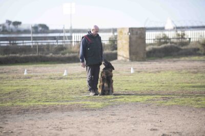 Agrandir l'image 1 sur 4, fenêtre modale