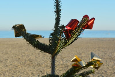 2023-12-15 Village de Noël - Agrandir l'image 12 sur 31, fenêtre modale