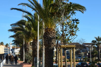 Agrandir l'image 1 sur 3, fenêtre modale