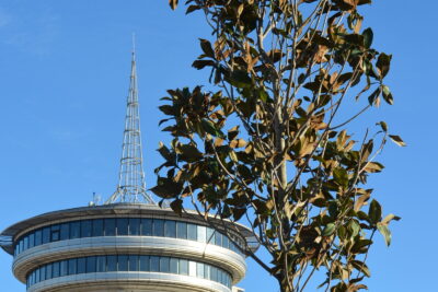 Agrandir l'image 2 sur 3, fenêtre modale