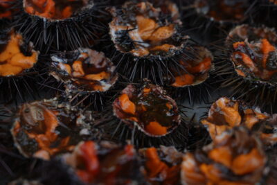 Agrandir l'image 1 sur 7, fenêtre modale