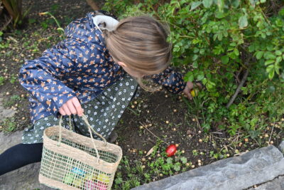 Agrandir l'image 3 sur 34, fenêtre modale