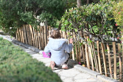 Agrandir l'image 6 sur 34, fenêtre modale