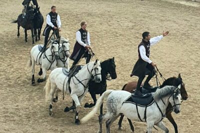 Agrandir l'image 1 sur 7, fenêtre modale