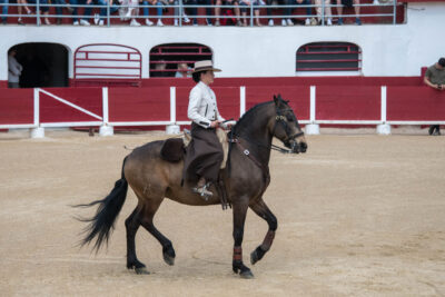Agrandir l'image 2 sur 50, fenêtre modale