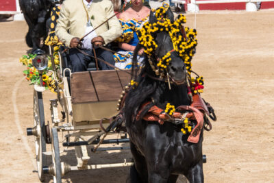 Agrandir l'image 3 sur 50, fenêtre modale