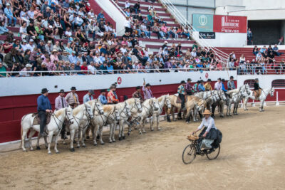 Agrandir l'image 4 sur 50, fenêtre modale