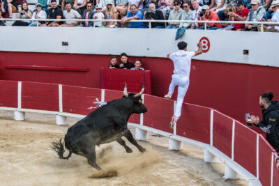 Agrandir l'image 7 sur 50, fenêtre modale