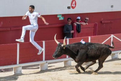 Agrandir l'image 8 sur 50, fenêtre modale