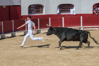 Agrandir l'image 10 sur 50, fenêtre modale