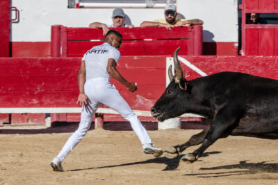 Agrandir l'image 11 sur 50, fenêtre modale