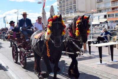 Agrandir l'image 14 sur 50, fenêtre modale