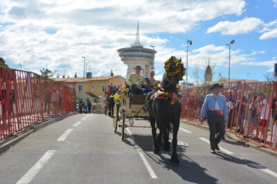 Agrandir l'image 29 sur 50, fenêtre modale