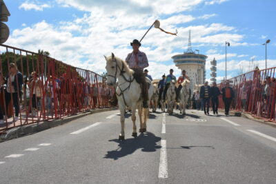 Agrandir l'image 34 sur 50, fenêtre modale