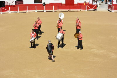 Agrandir l'image 39 sur 50, fenêtre modale