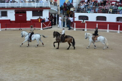 Agrandir l'image 43 sur 50, fenêtre modale