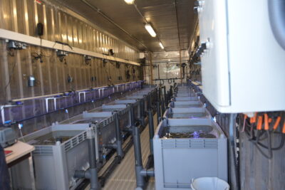 Agrandir l'image 2 sur 13, fenêtre modale