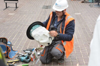 Agrandir l'image 3 sur 9, fenêtre modale