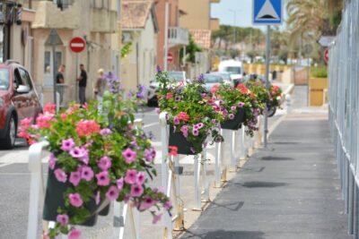 Agrandir l'image 15 sur 15, fenêtre modale