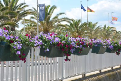 Agrandir l'image 14 sur 15, fenêtre modale