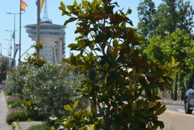 Agrandir l'image 13 sur 15, fenêtre modale