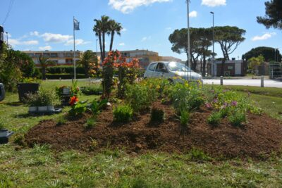 Agrandir l'image 11 sur 15, fenêtre modale