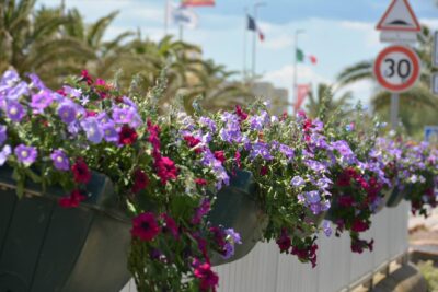 Agrandir l'image 4 sur 15, fenêtre modale